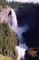 Helmcken Falls, Wells Gray Park, Clearwater, BC, Painted Turtle